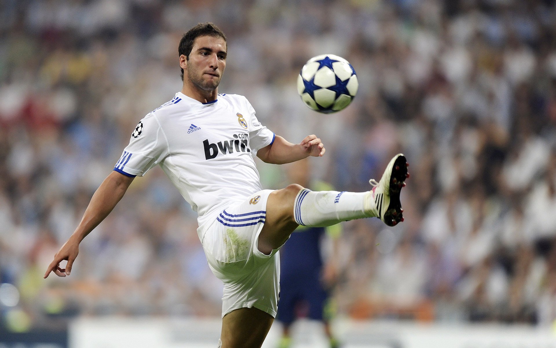 南非羚羊队的进攻核心：球员精准的跑位与球技让他们如猛虎下山